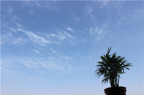 �ݺ�h(hu��n)�����o(h��)